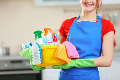 Local cleaners in SE10 helping a modern apartment stay tidy