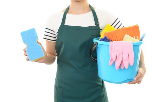 Local cleaning company service for SE10 homes and businesses