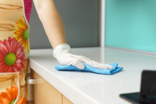 Domestic cleaning service for homes in SE10 with local neighbourhood context