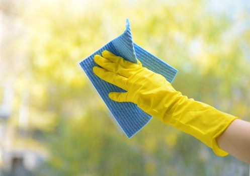 Professional carpet cleaning service in SE10 with a focus on quality and care