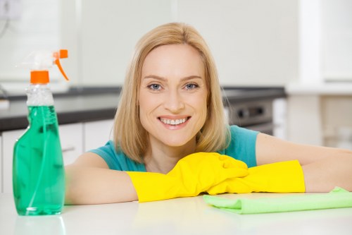 One off cleaning for SE10 kitchens and bathrooms with detailed finish