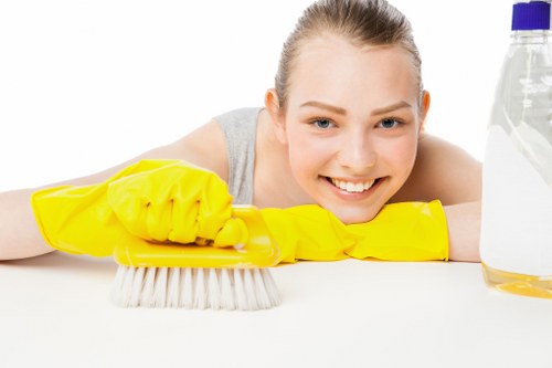 SSL encryption protecting Carpetcleaning SE10 payments