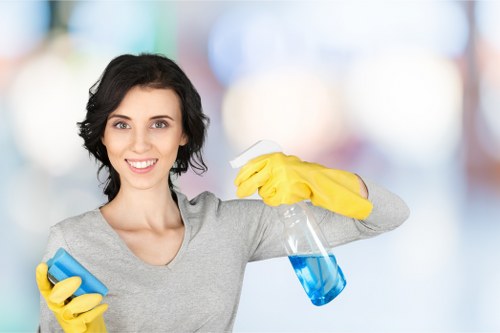 Residential window cleaning service for SE10 apartment buildings