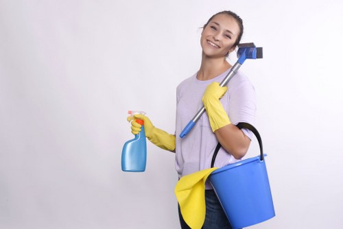 Professional office cleaning supplies prepared for a local SE10 workplace