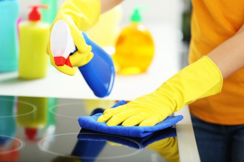 Preparation checklist scene for domestic cleaning in SE10 home