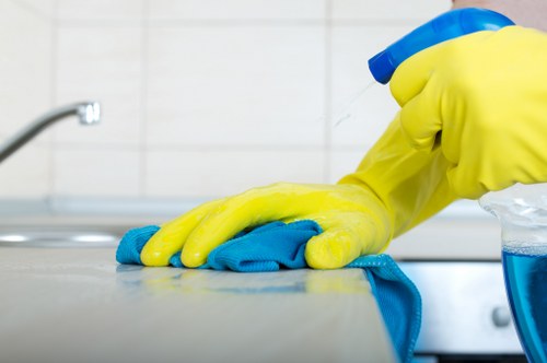 Professional carpet care for SE10 flooring