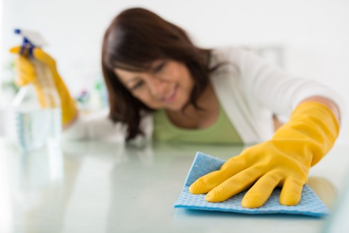 Commercial and domestic oven cleaning in the SE10 area