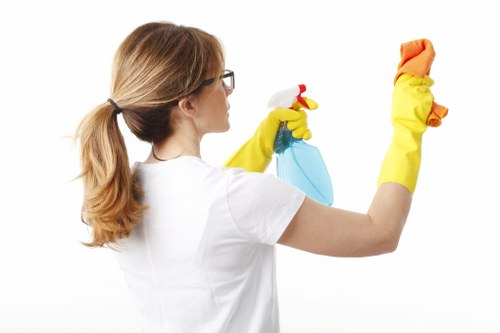 Reviewing a carpet cleaning complaint and service details