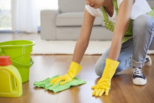Local oven cleaner serving flats and houses in SE10